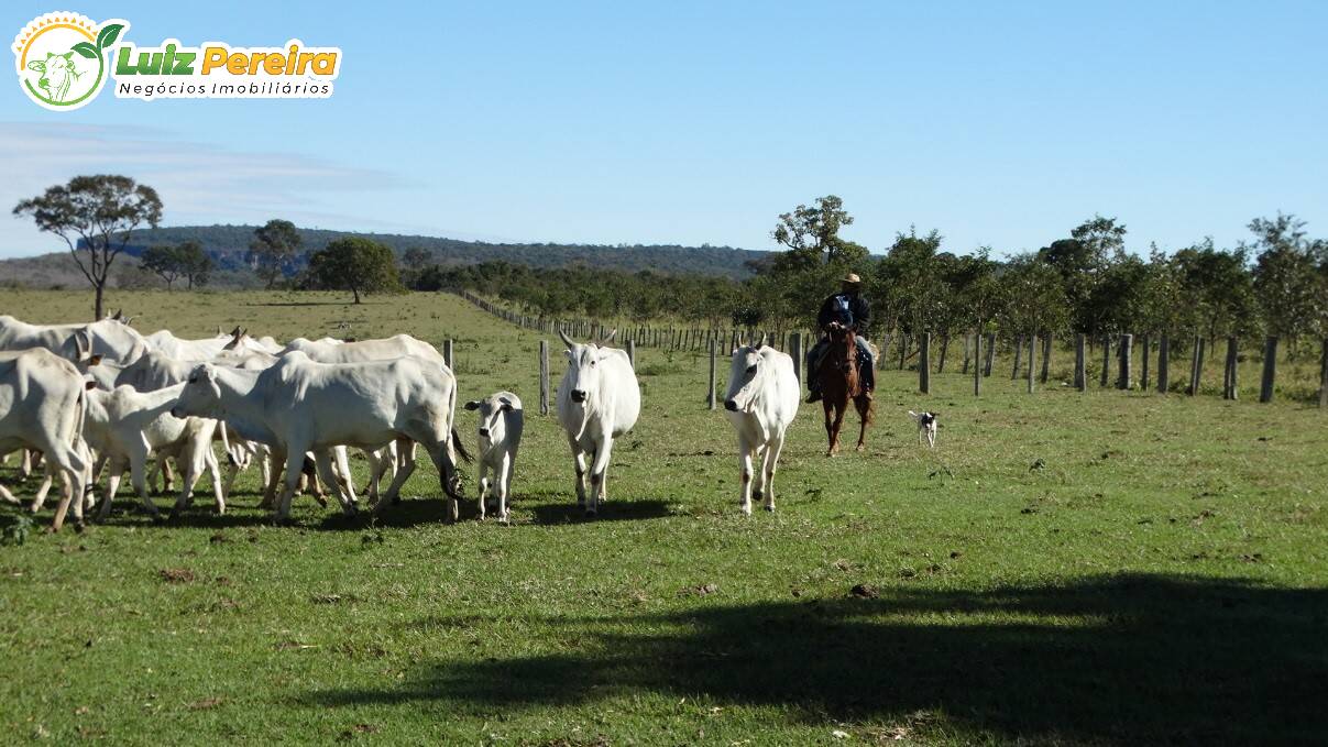 Fazenda à venda, 2490000m² - Foto 2