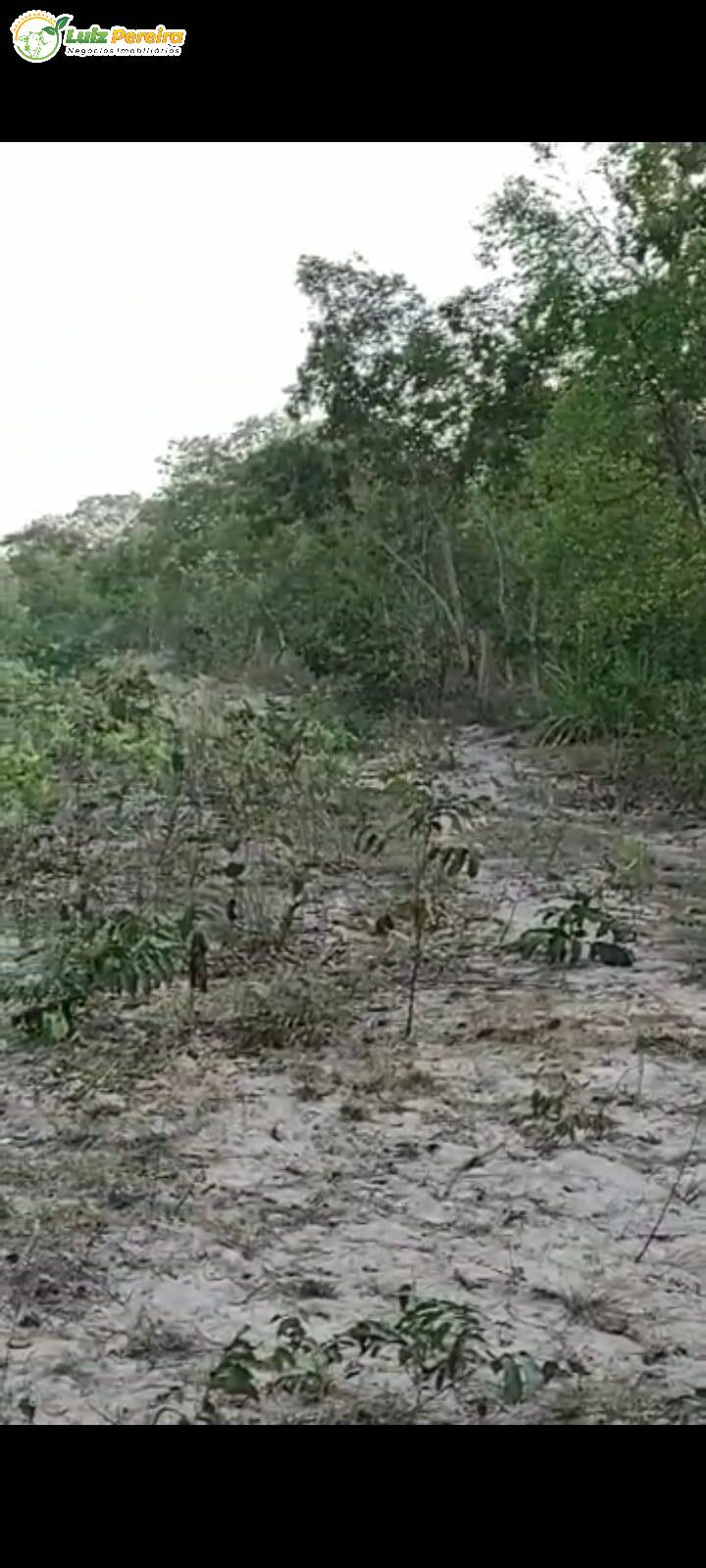 Fazenda à venda, 46230000m² - Foto 27