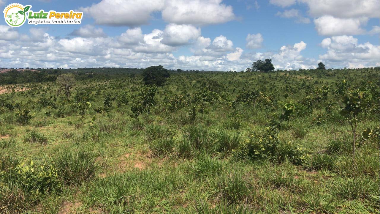 Fazenda à venda, 3900000m² - Foto 6