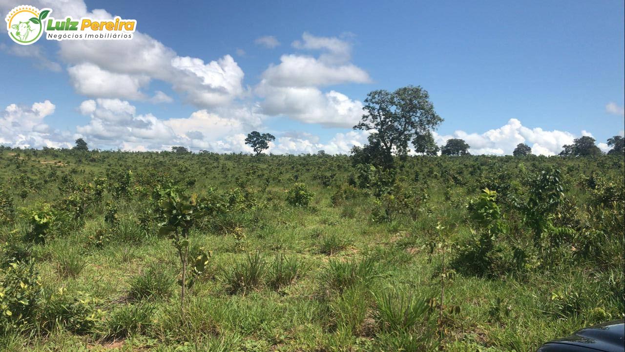 Fazenda à venda, 3900000m² - Foto 7