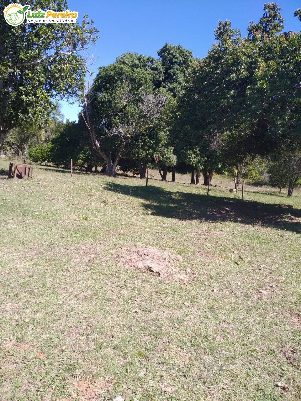 Fazenda à venda, 4710000m² - Foto 3