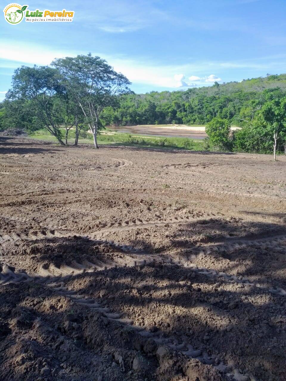 Fazenda à venda, 4710000m² - Foto 6