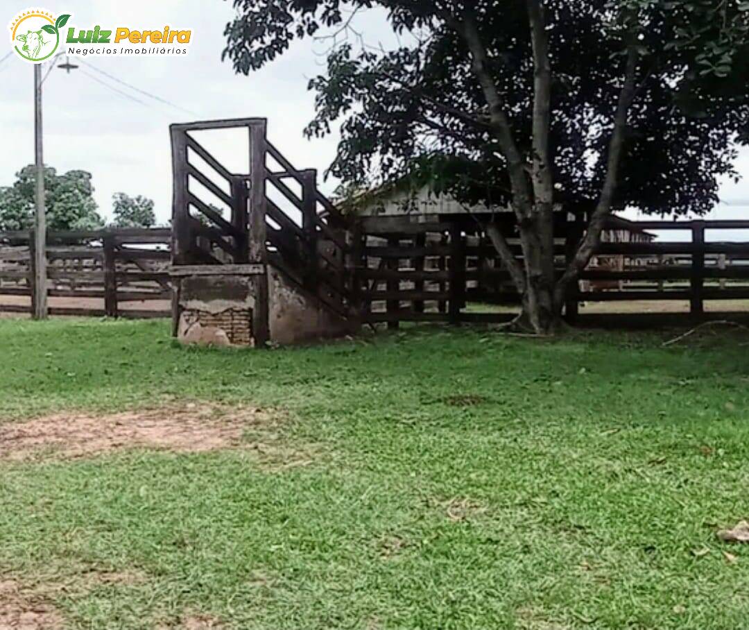 Fazenda à venda, 12680800m² - Foto 6