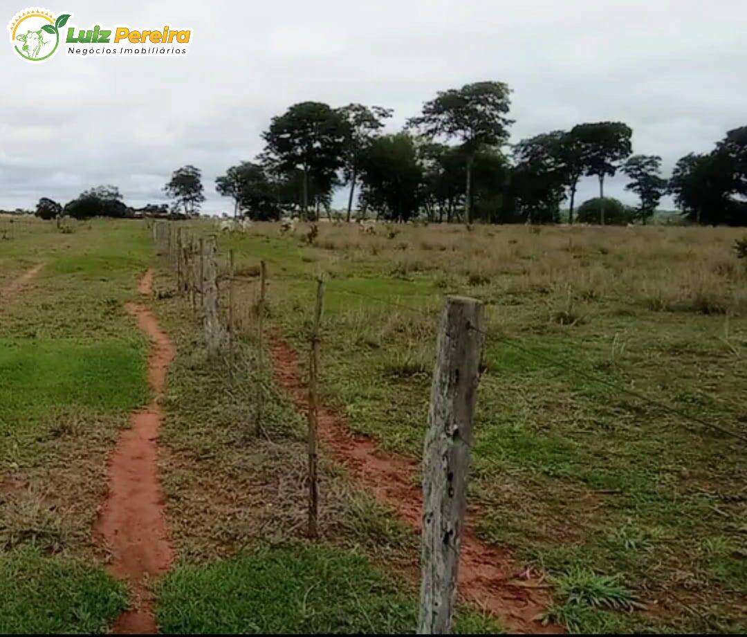 Fazenda-Sítio-Chácara, 1268 hectares - Foto 2