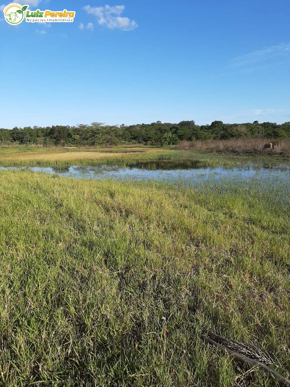 Fazenda à venda, 300m² - Foto 8