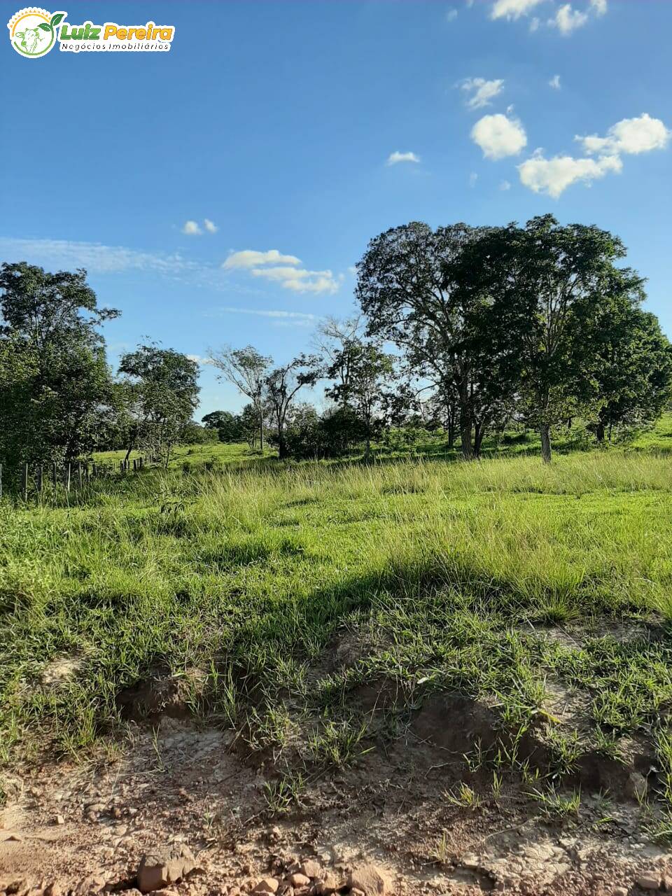 Fazenda à venda, 300m² - Foto 5