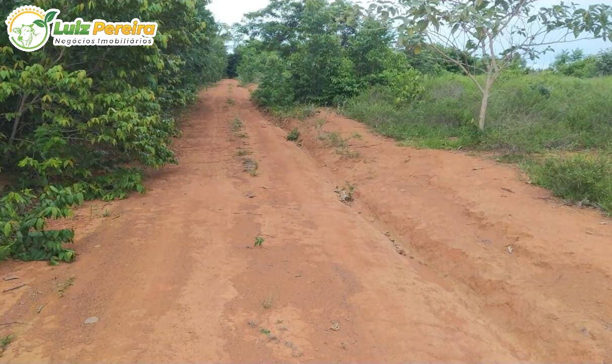 Fazenda à venda, 19360000m² - Foto 4