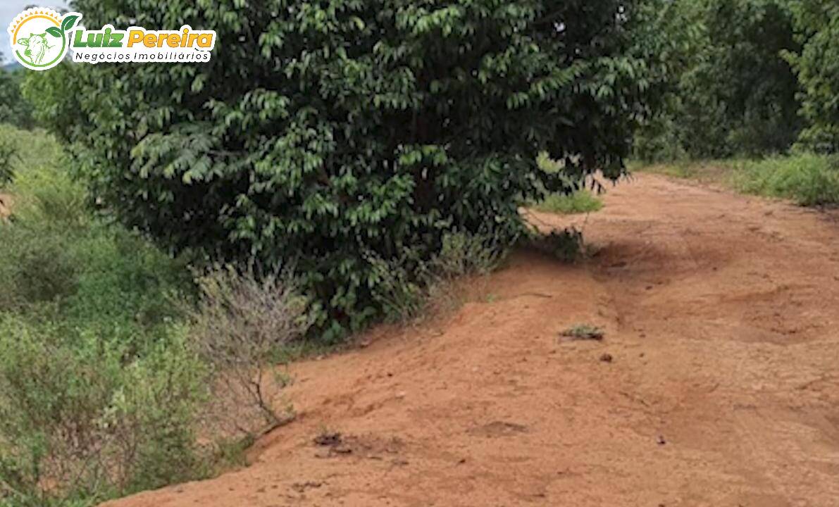 Fazenda à venda, 19360000m² - Foto 5