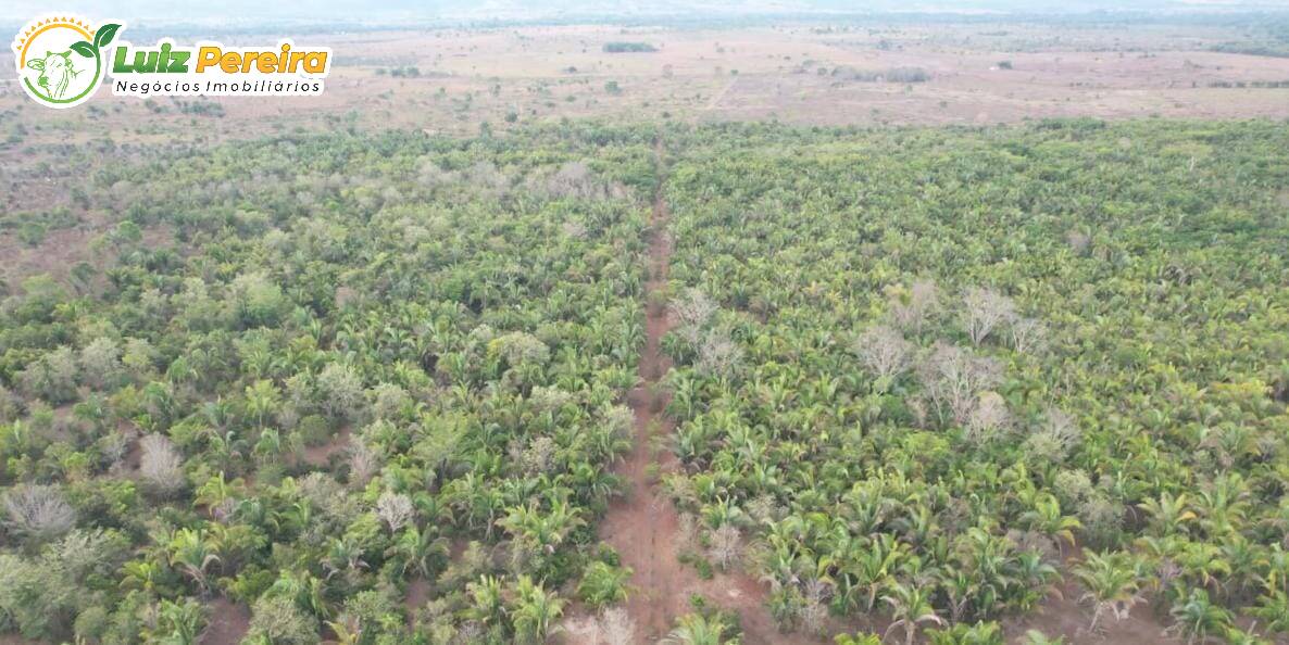 Fazenda à venda, 19360000m² - Foto 2