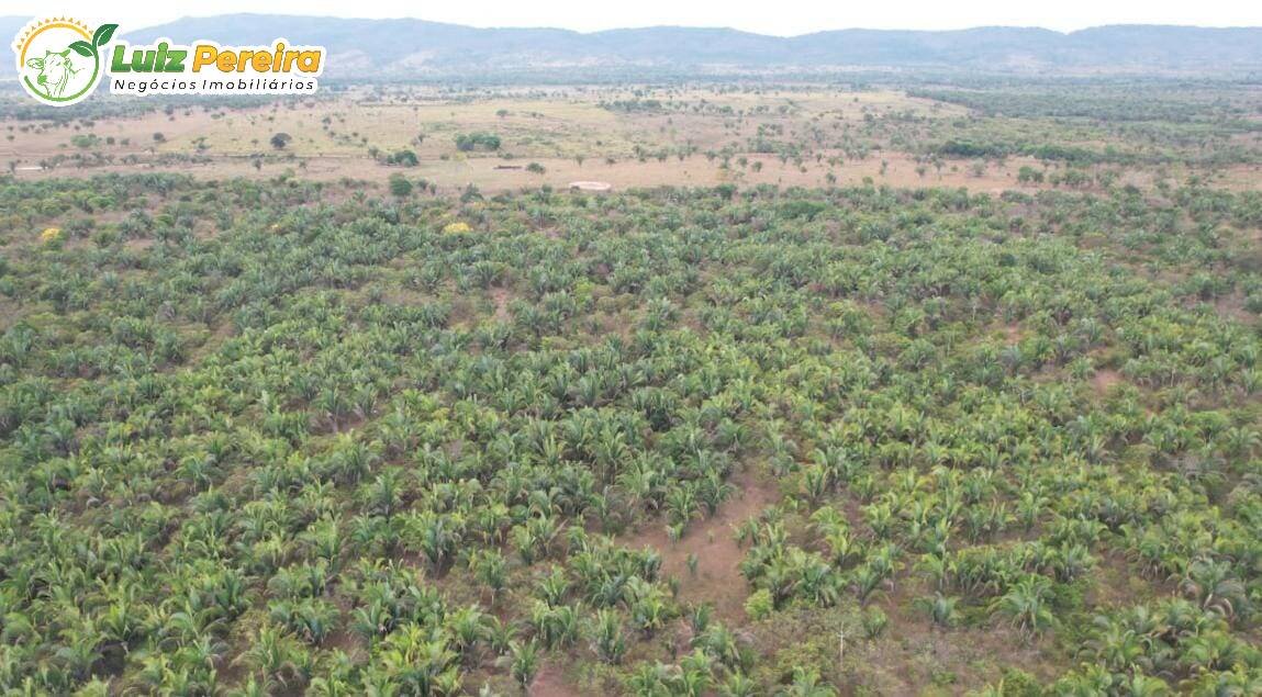 Fazenda à venda, 19360000m² - Foto 1