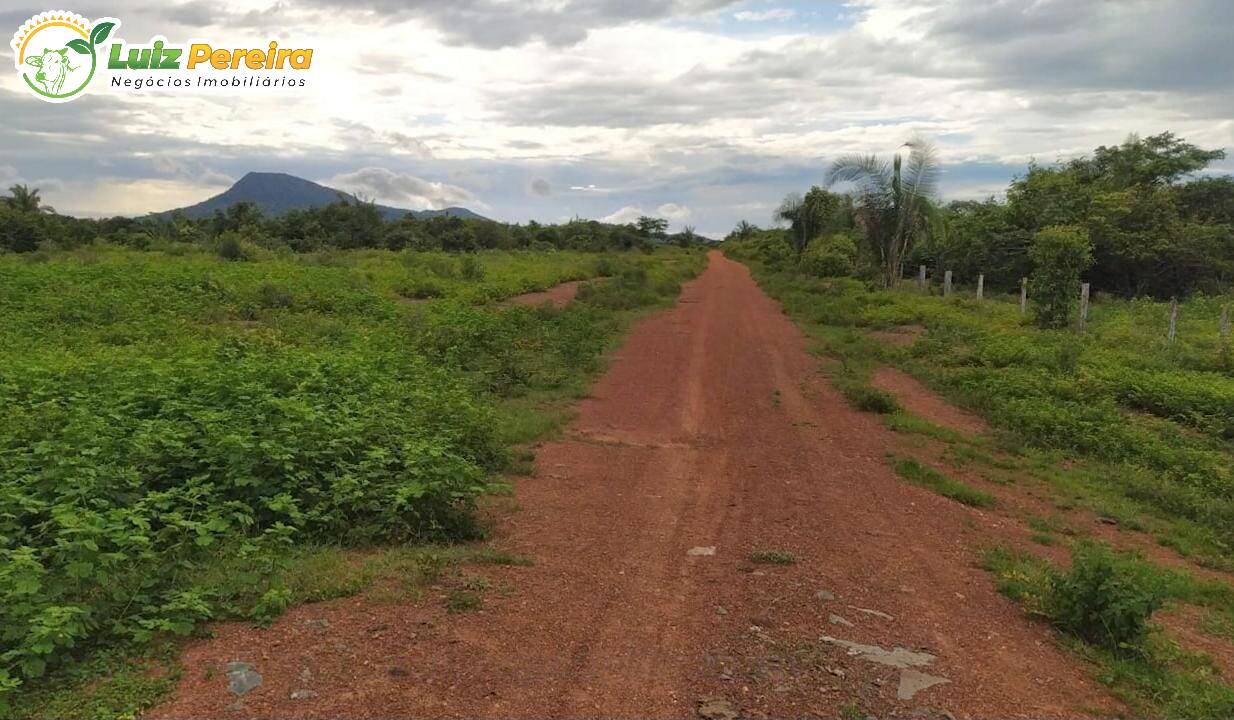 Fazenda à venda, 19360000m² - Foto 7