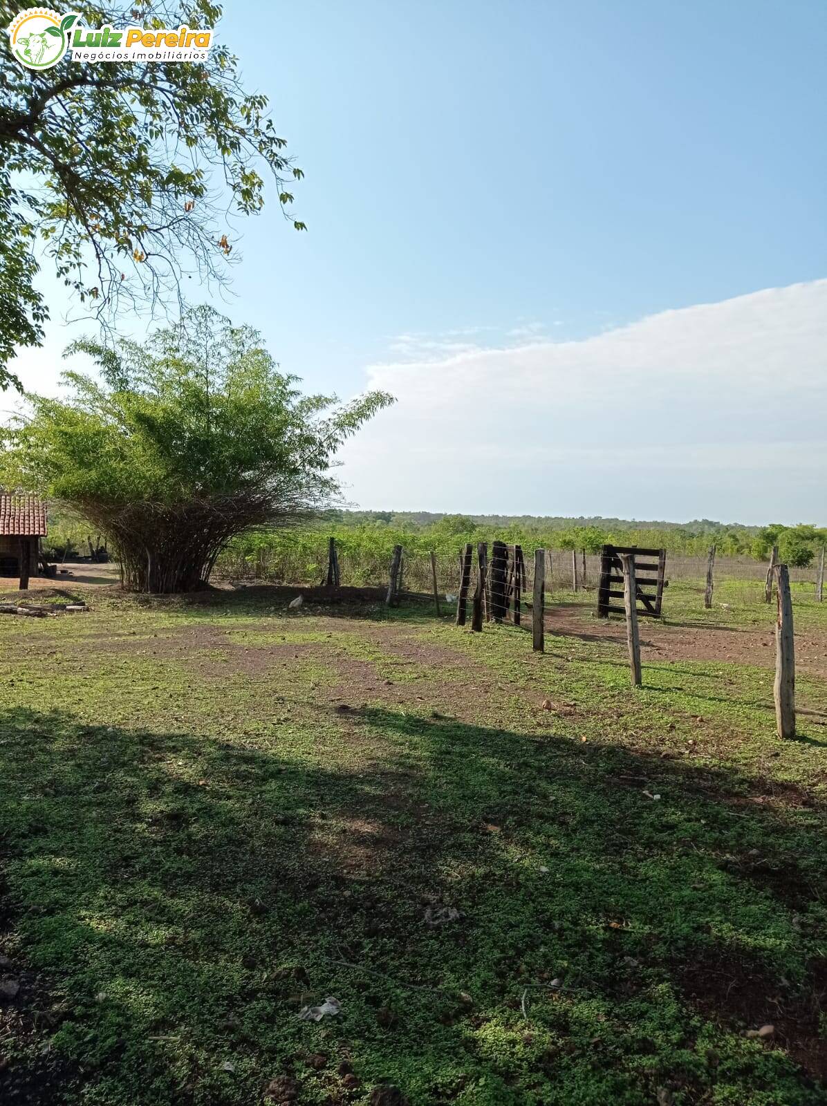 Fazenda-Sítio-Chácara, 1099 hectares - Foto 1