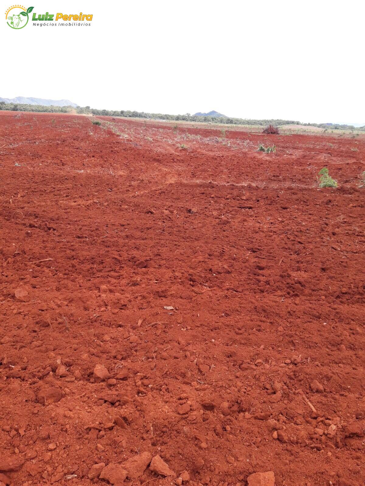 Fazenda à venda, 19360000m² - Foto 6