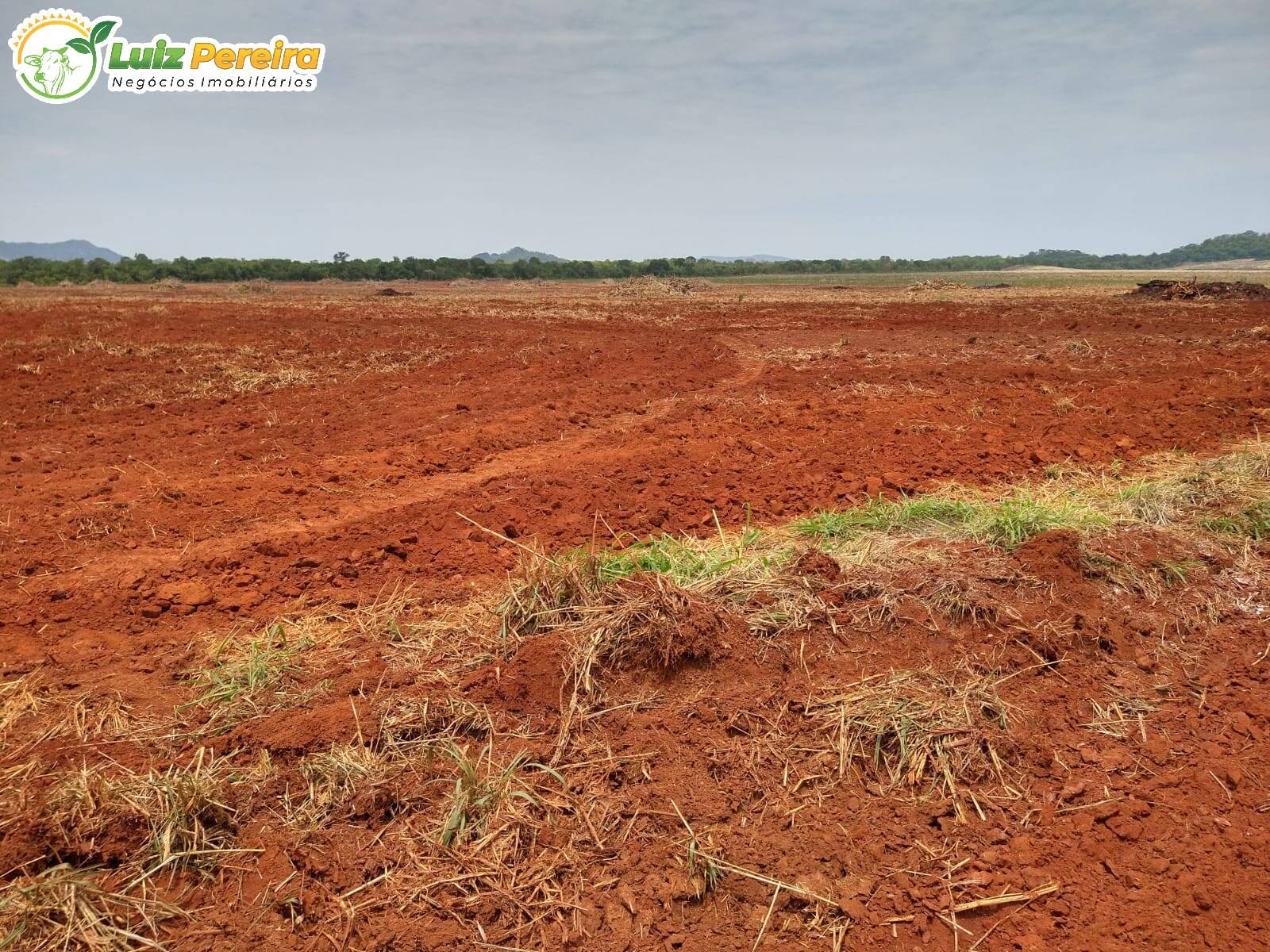 Fazenda à venda, 19360000m² - Foto 7