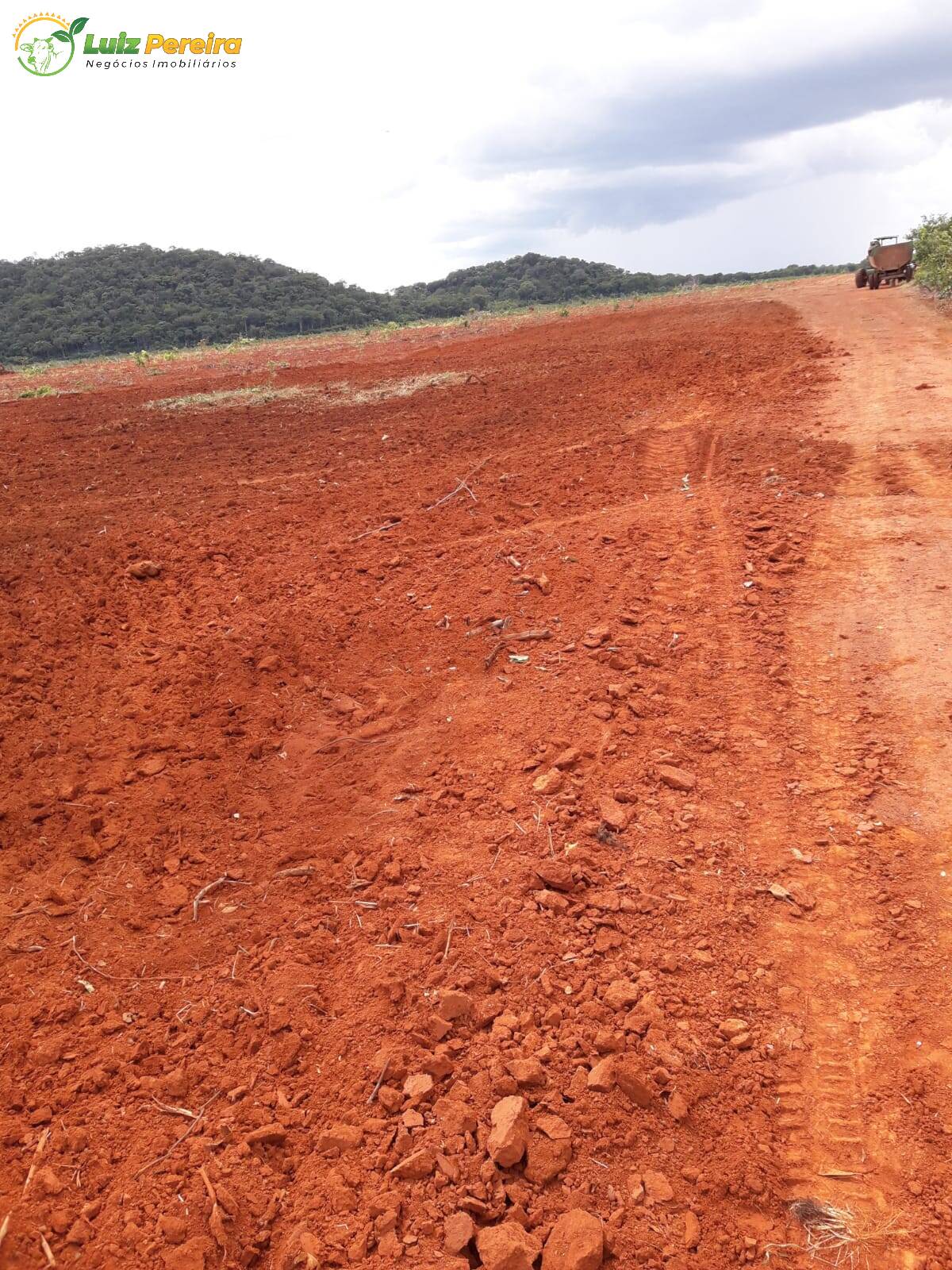 Fazenda à venda, 19360000m² - Foto 10