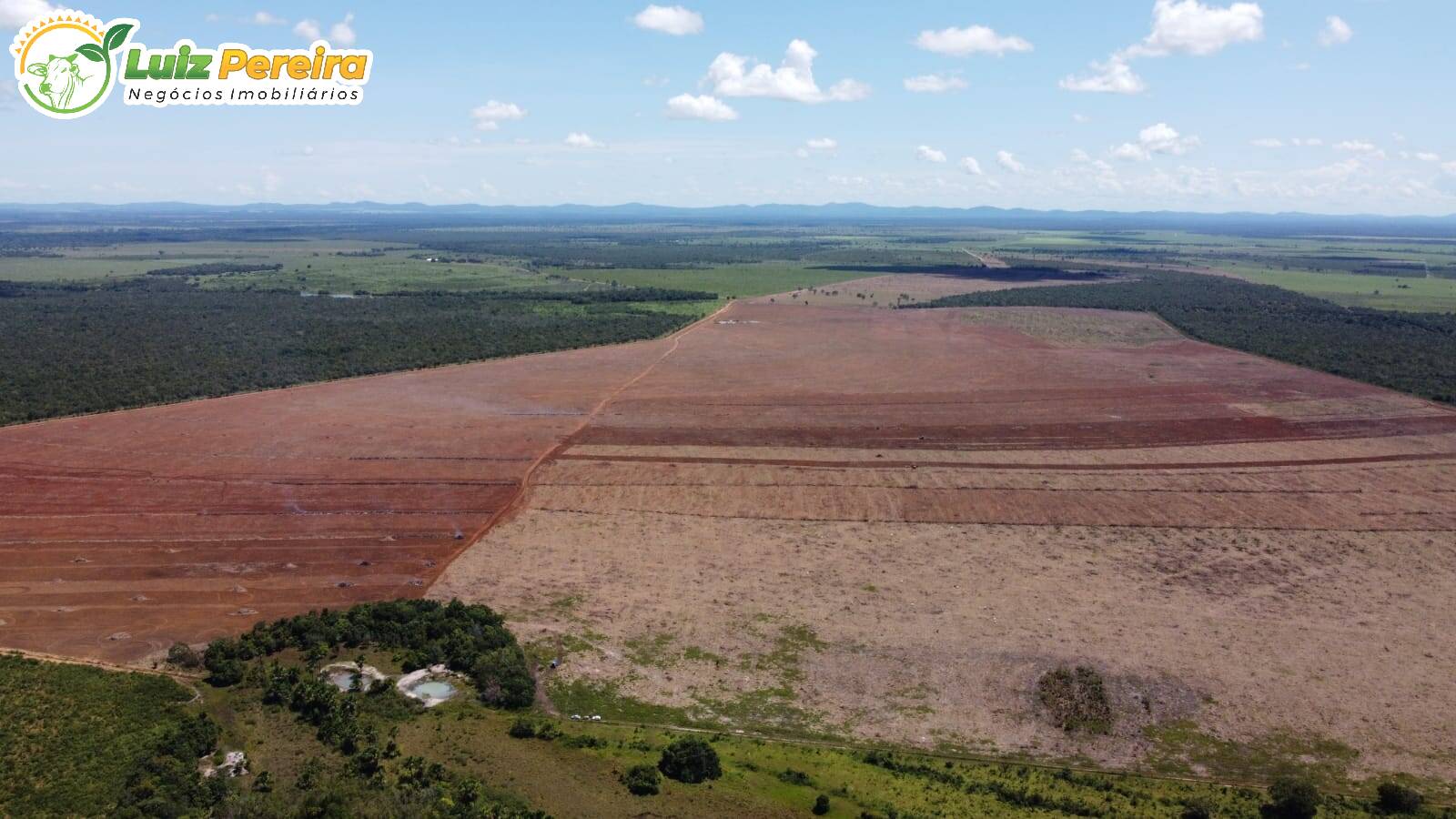 Fazenda-Sítio-Chácara, 3291 hectares - Foto 1