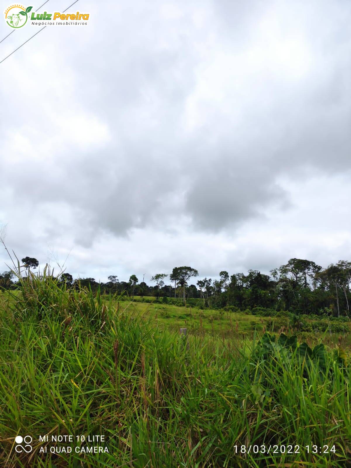 Fazenda à venda, 9680000m² - Foto 5