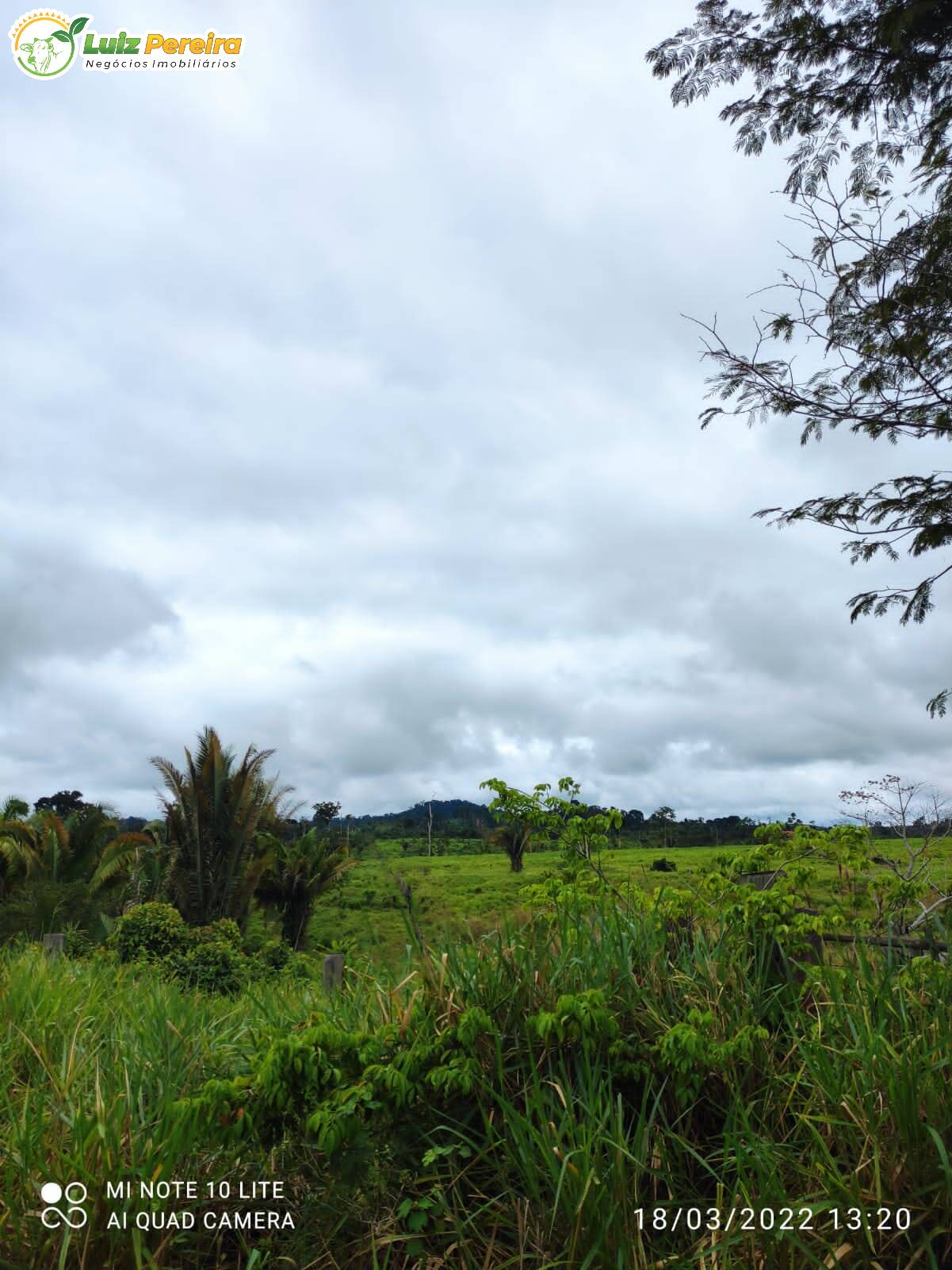 Fazenda à venda, 9680000m² - Foto 6