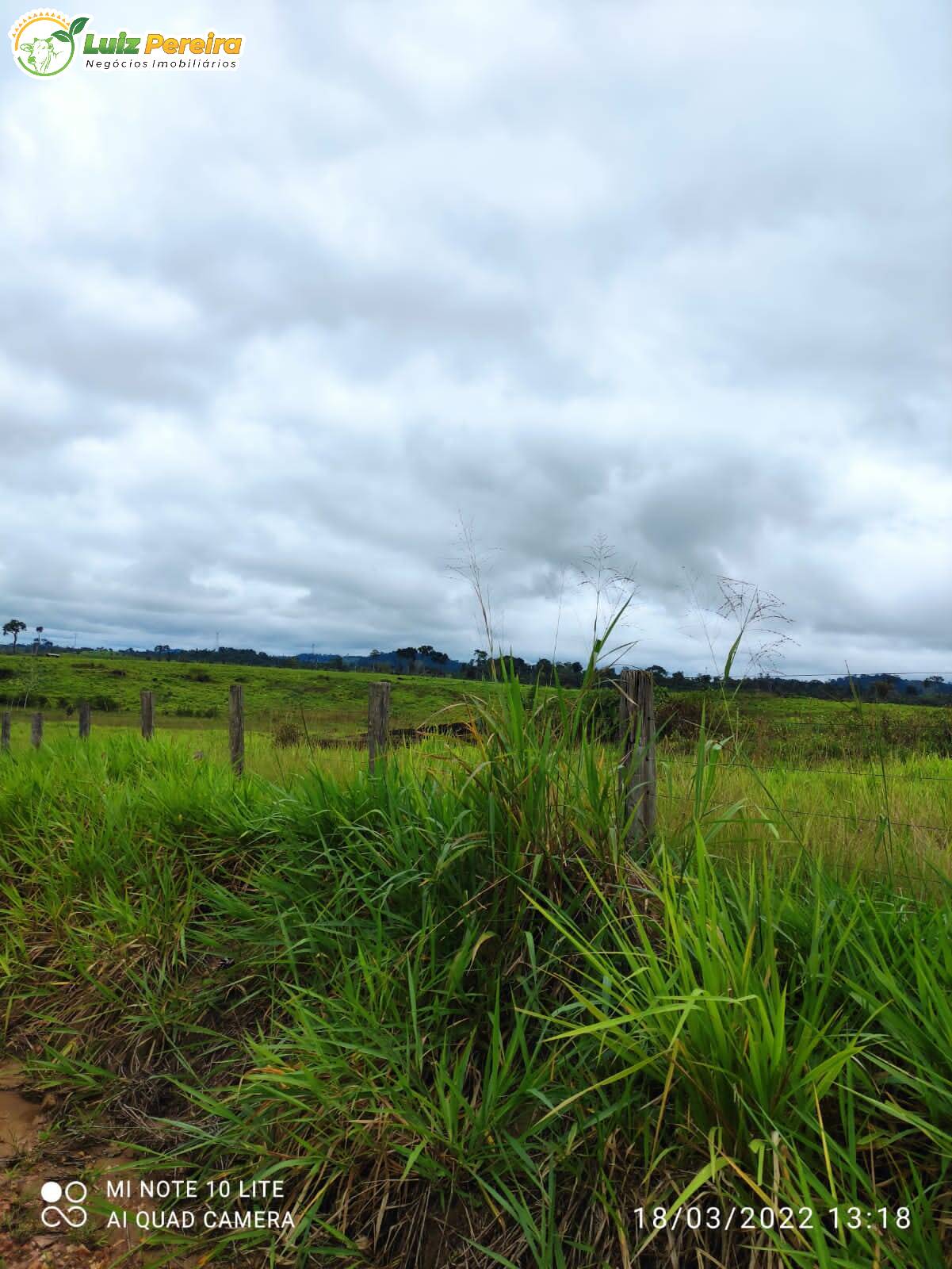 Fazenda à venda, 9680000m² - Foto 8