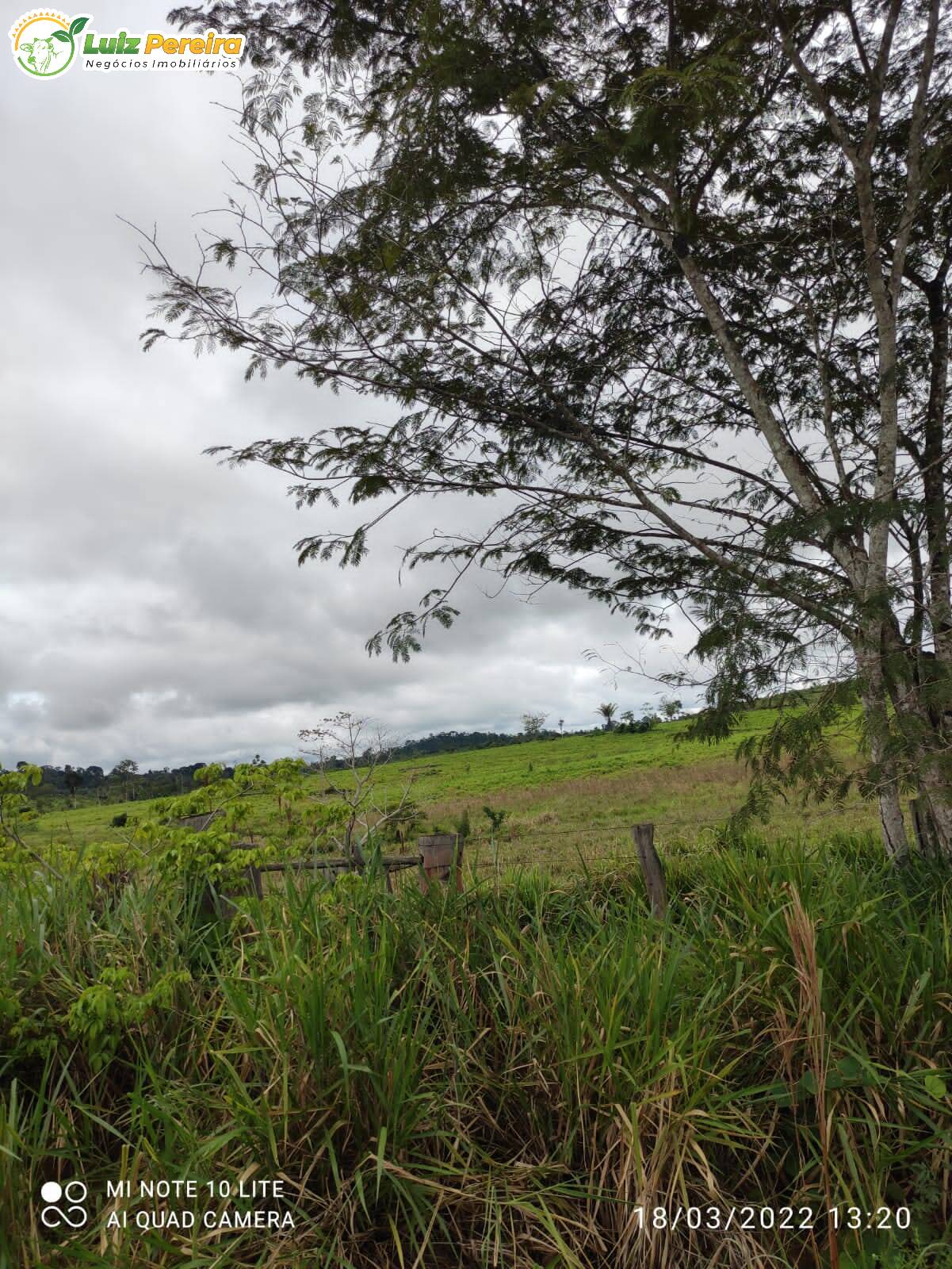 Fazenda à venda, 9680000m² - Foto 7