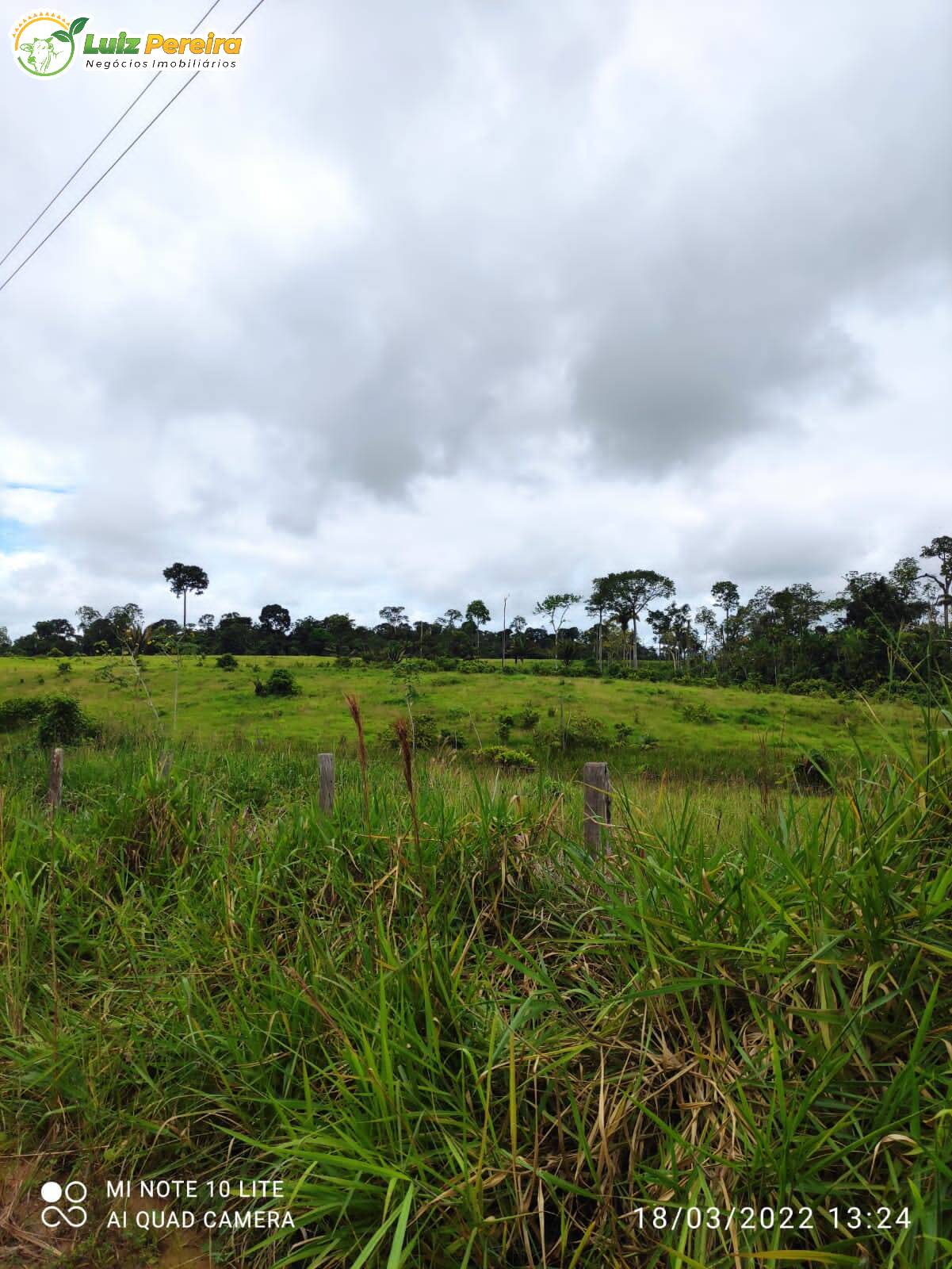 Fazenda à venda, 9680000m² - Foto 9