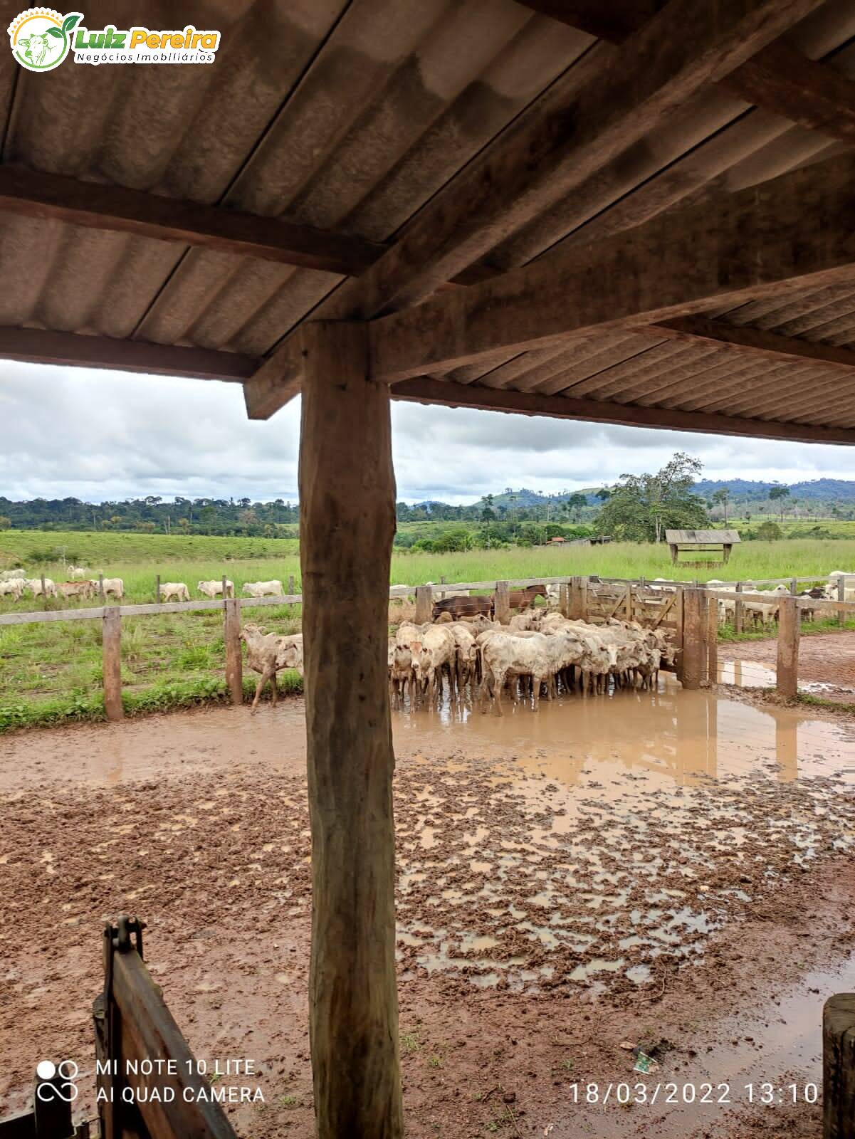 Fazenda à venda, 9680000m² - Foto 25