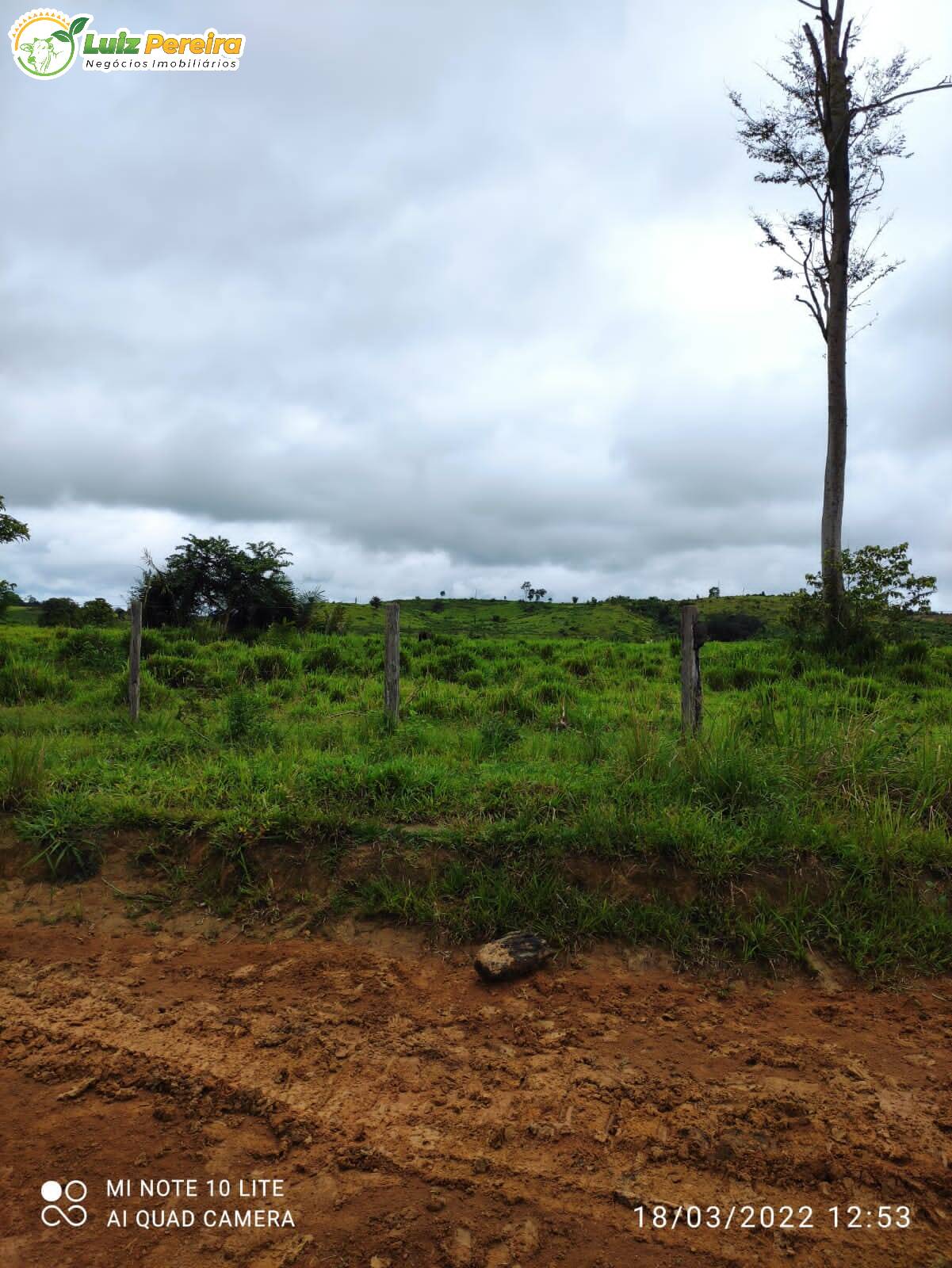 Fazenda à venda, 9680000m² - Foto 10