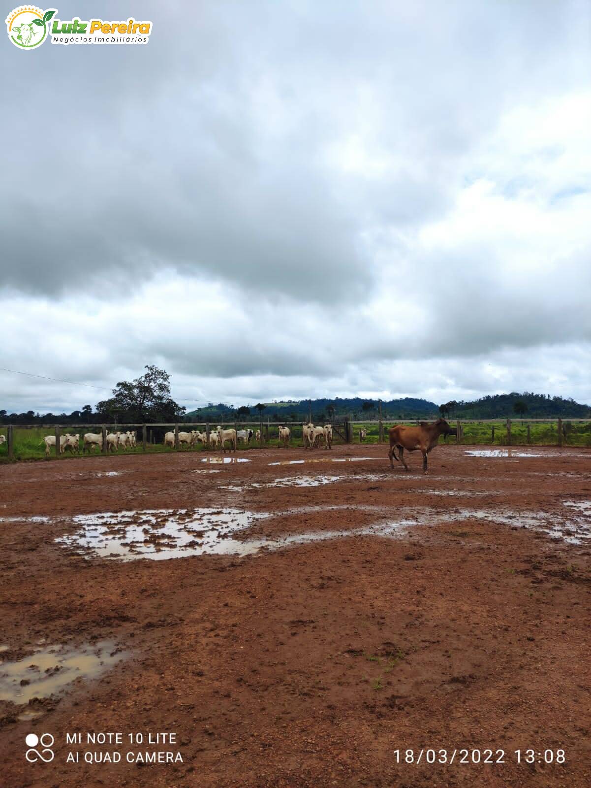 Fazenda à venda, 9680000m² - Foto 15