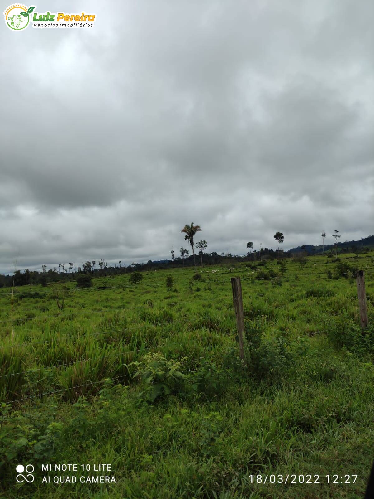 Fazenda à venda, 9680000m² - Foto 12