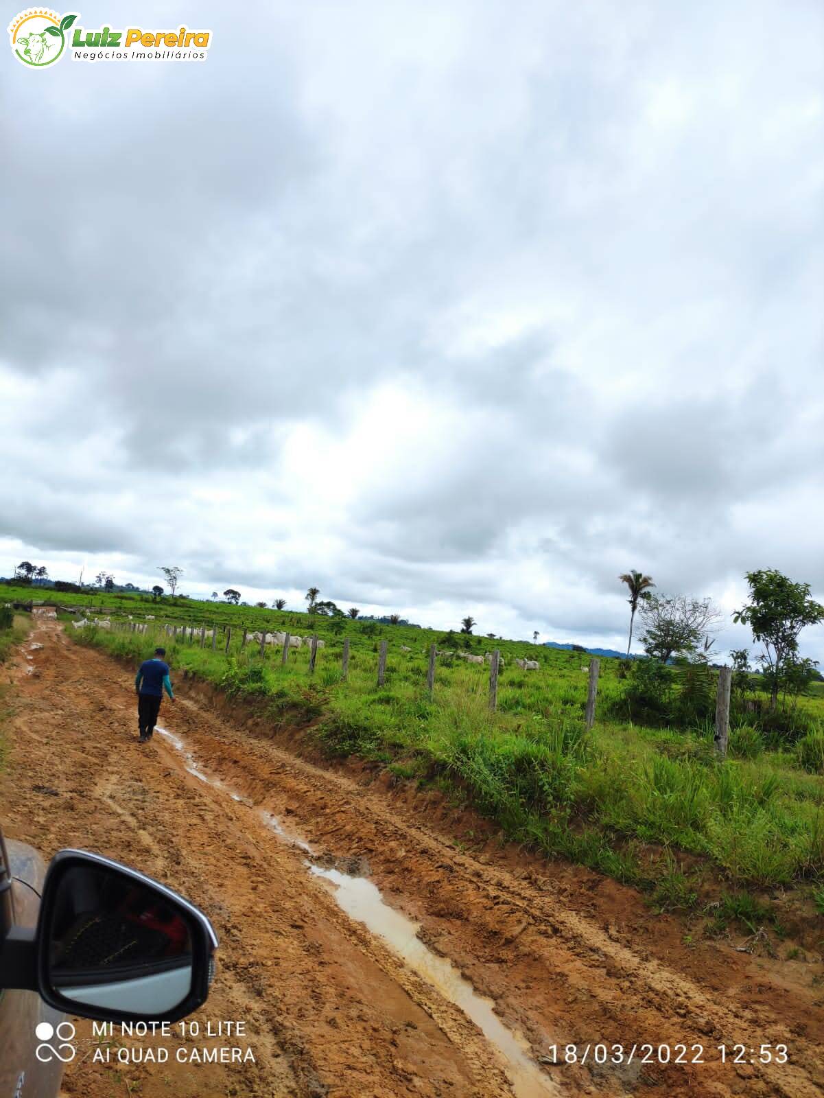 Fazenda à venda, 9680000m² - Foto 17