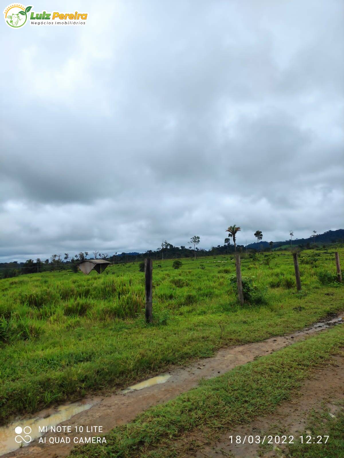 Fazenda à venda, 9680000m² - Foto 13