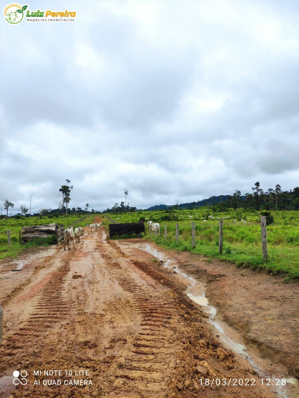 Fazenda à venda, 9680000m² - Foto 16