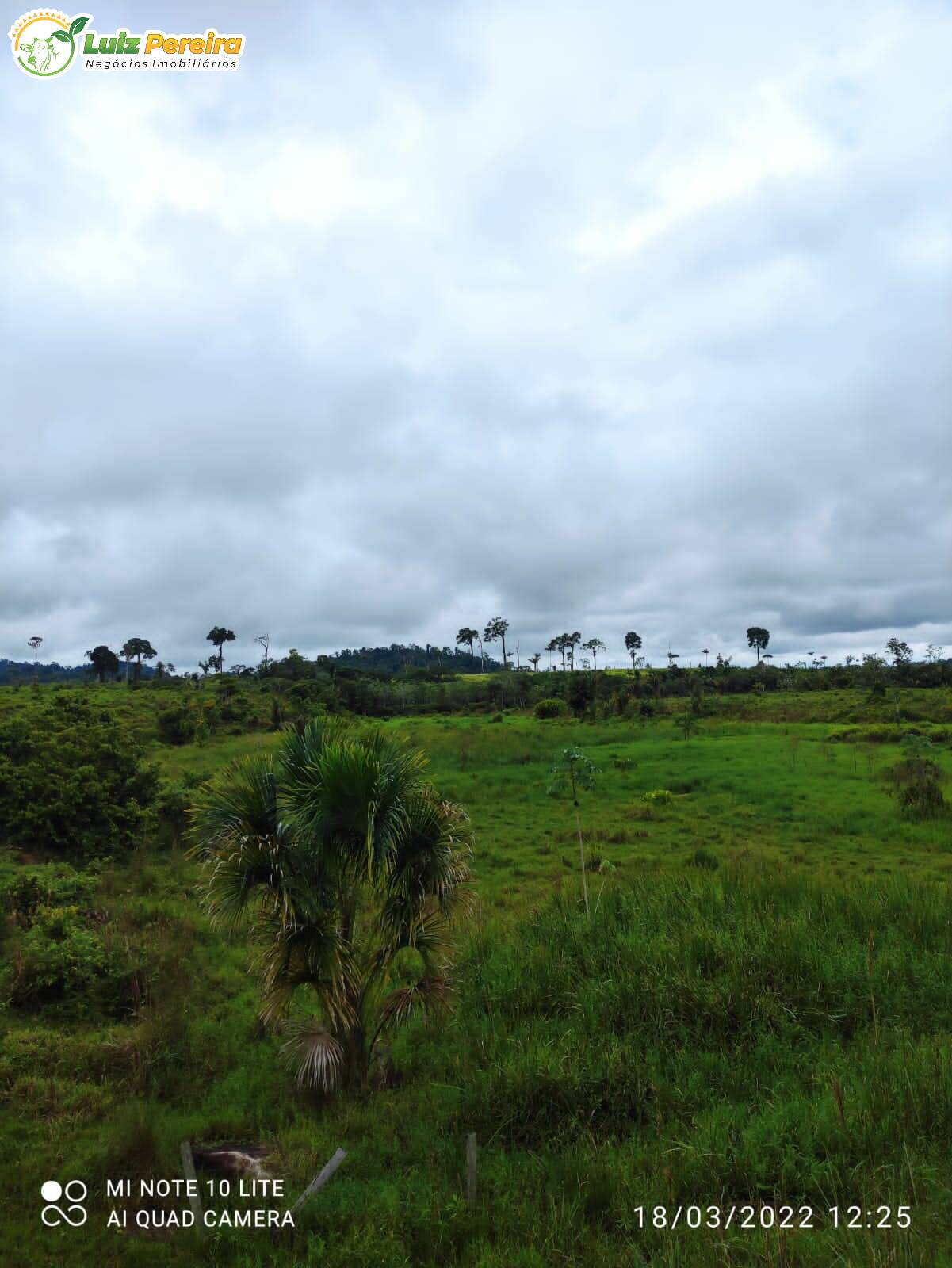 Fazenda à venda, 9680000m² - Foto 4