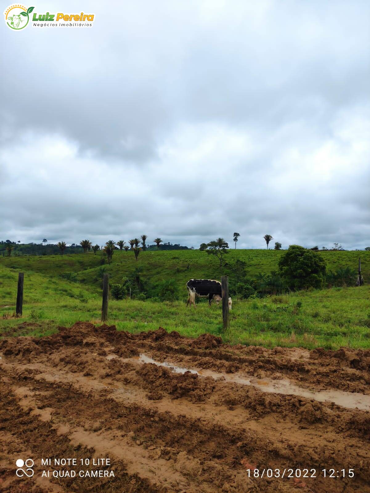 Fazenda à venda, 9680000m² - Foto 21