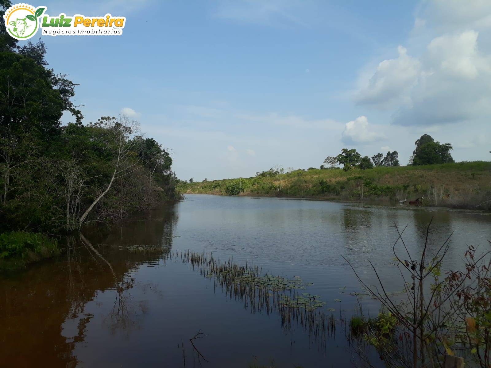 Fazenda à venda, 6098400m² - Foto 10