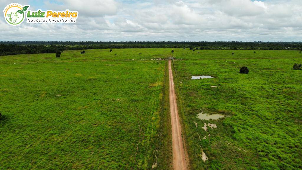 Fazenda à venda, 20386000m² - Foto 6