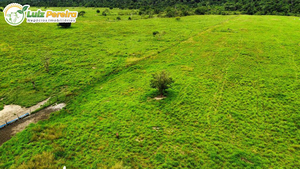 Fazenda à venda, 20386000m² - Foto 1