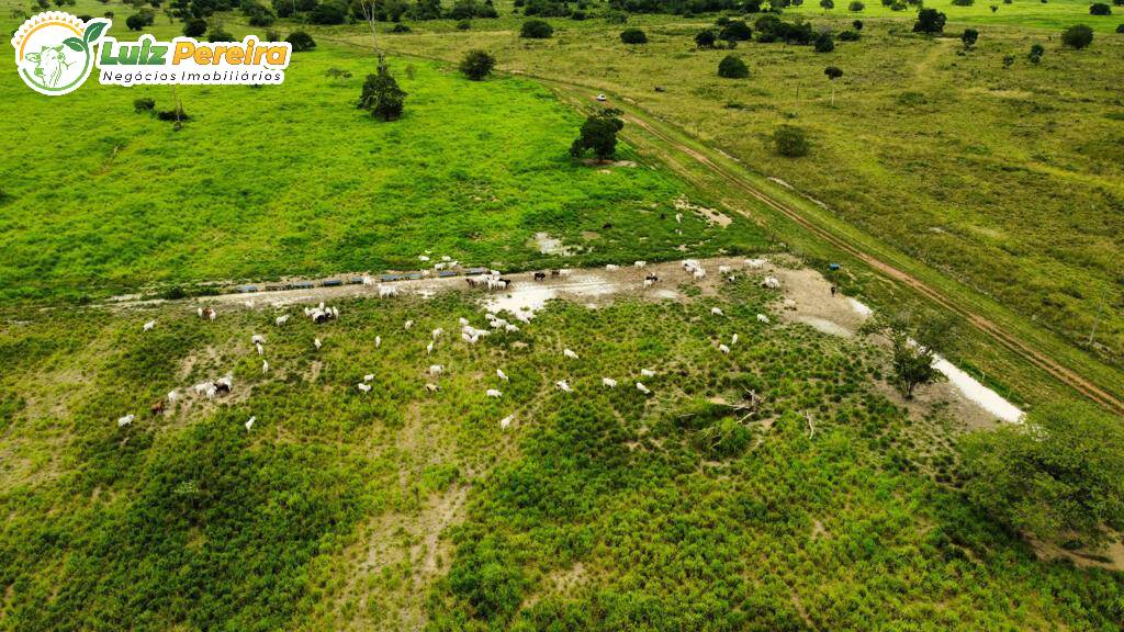 Fazenda à venda, 20386000m² - Foto 7