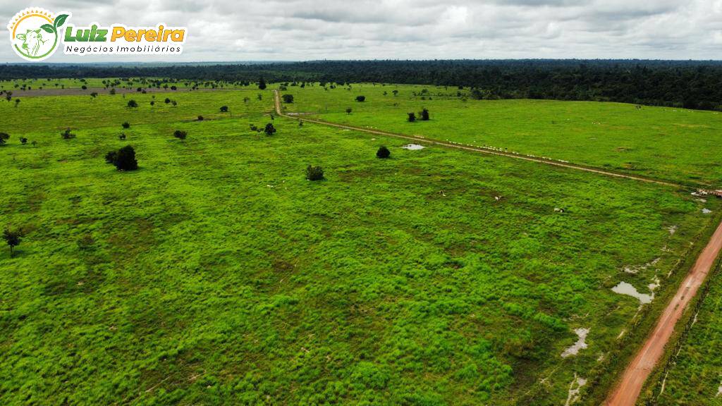 Fazenda à venda, 20386000m² - Foto 3