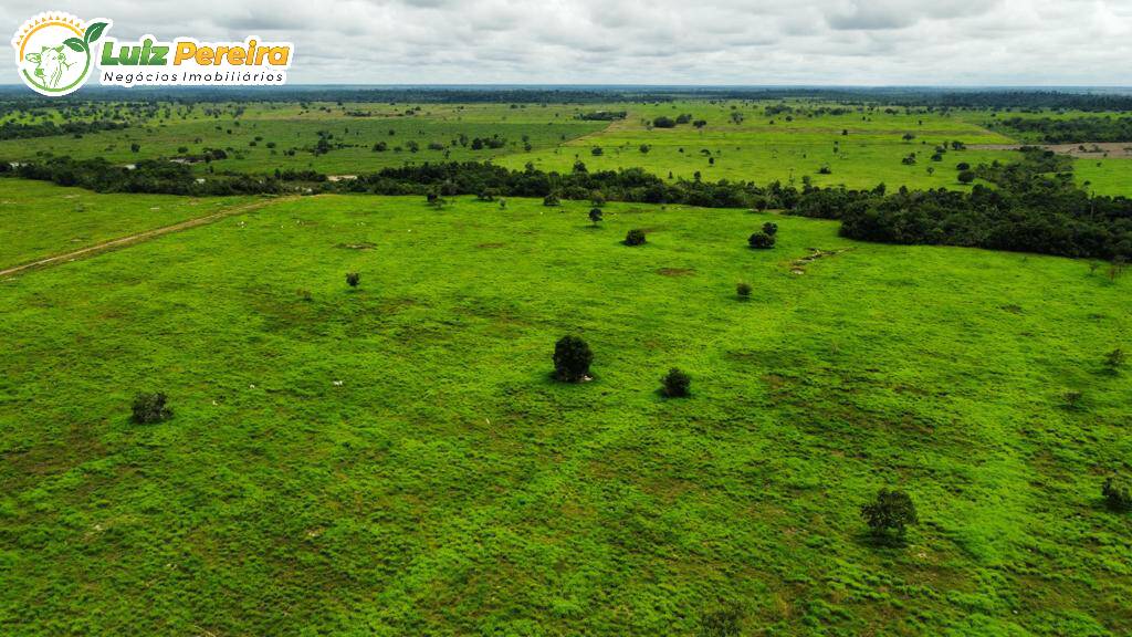 Fazenda à venda, 20386000m² - Foto 4