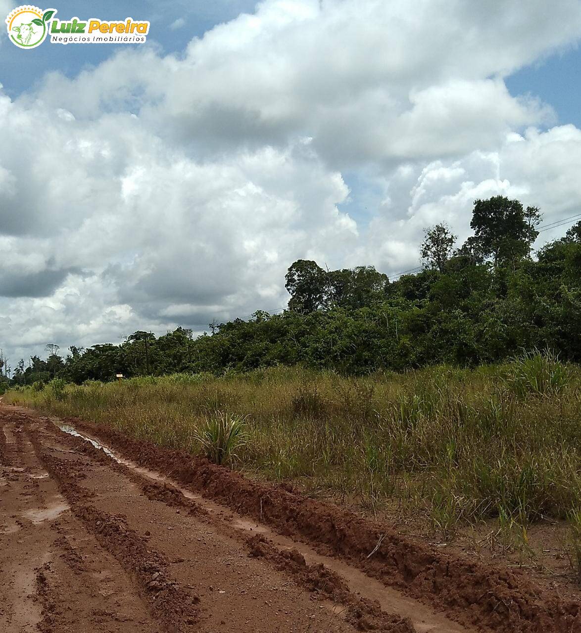 Terreno à venda, 20328000m² - Foto 6