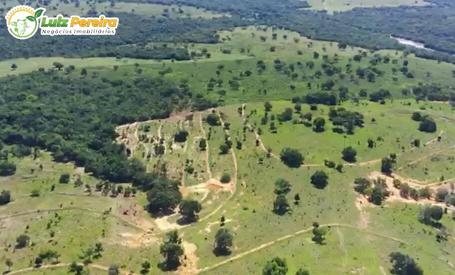 Fazenda-Sítio-Chácara, 390 hectares - Foto 1