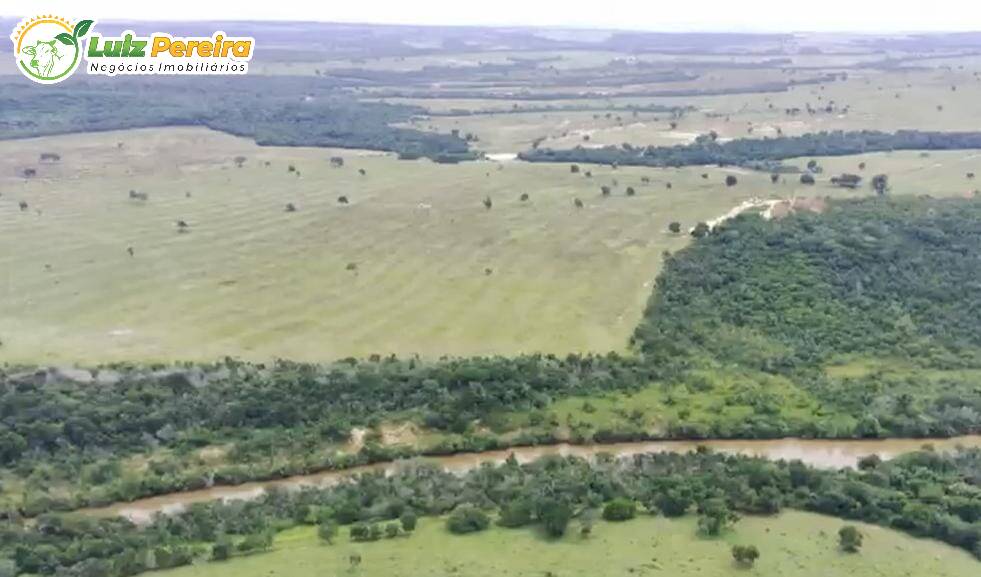 Fazenda-Sítio-Chácara, 390 hectares - Foto 3