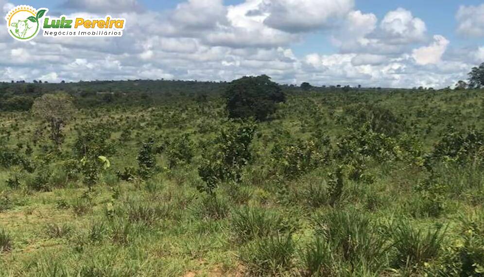 Fazenda à venda, 3900000m² - Foto 9