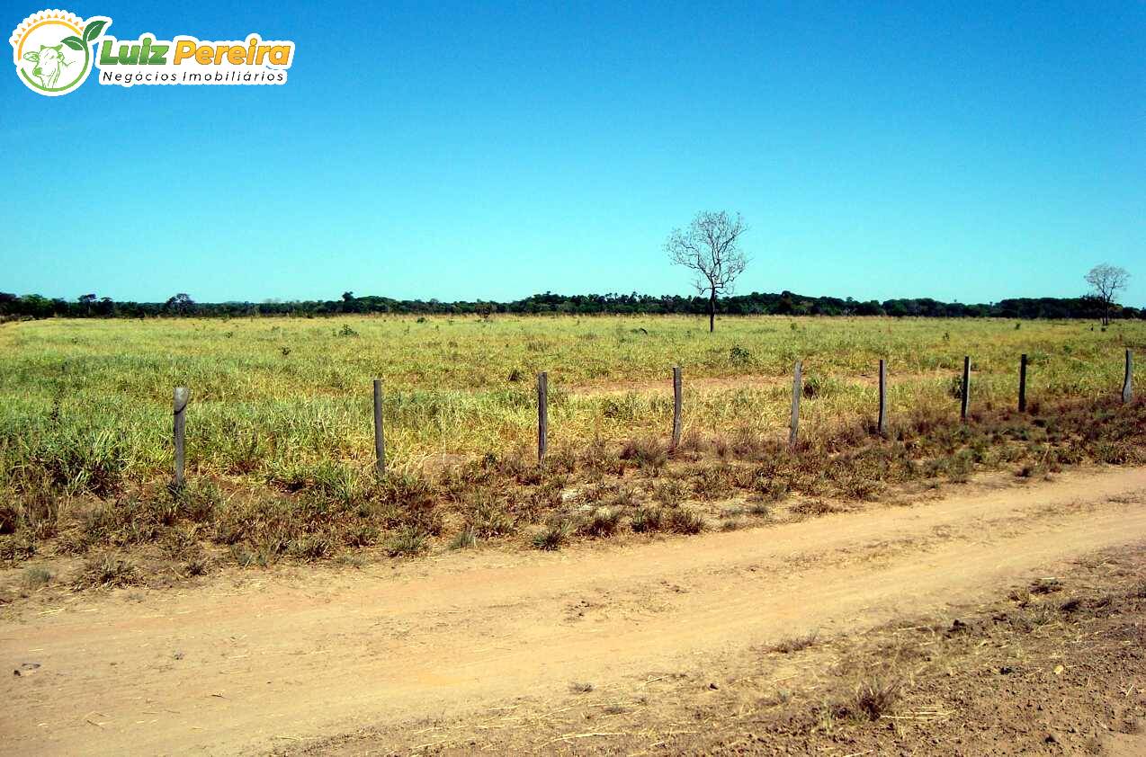 Fazenda-Sítio-Chácara, 1000 hectares - Foto 2