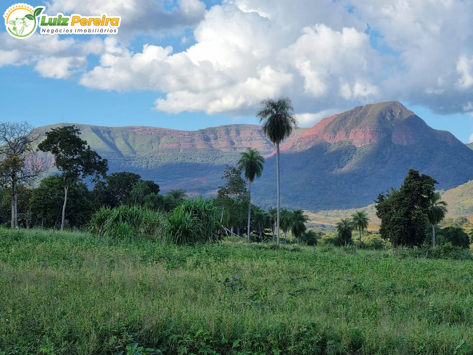 Fazenda à venda, 715m² - Foto 1