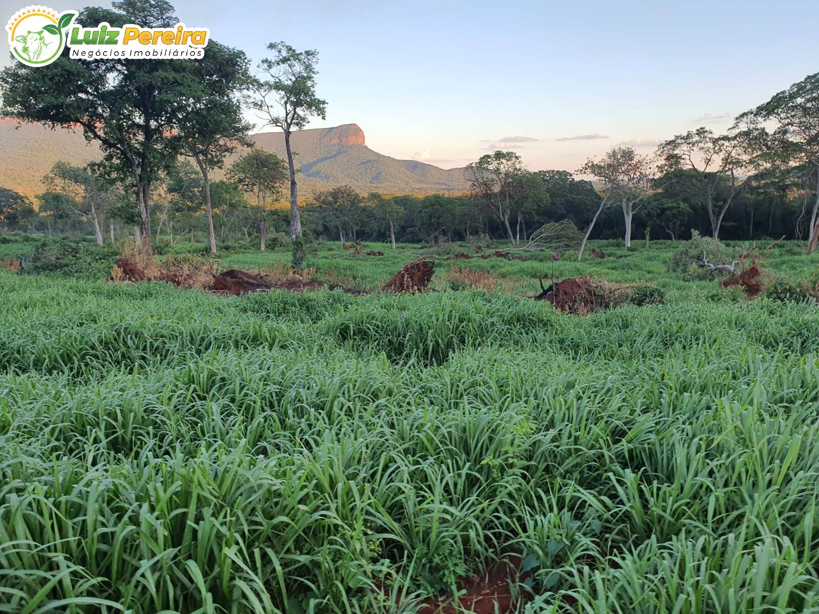 Fazenda à venda, 715m² - Foto 6