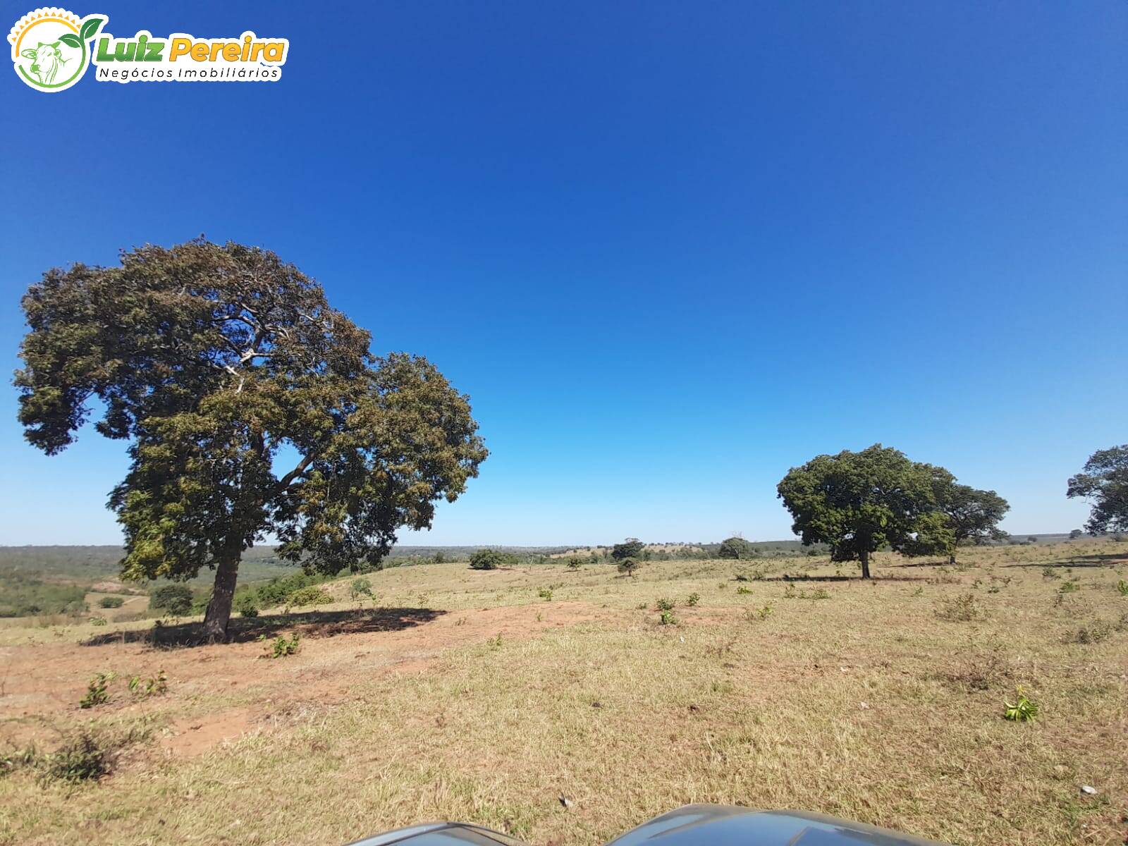 Fazenda à venda, 1680000m² - Foto 5