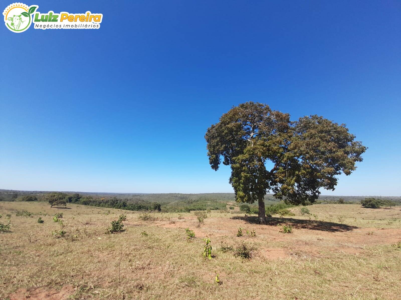 Fazenda à venda, 1680000m² - Foto 9