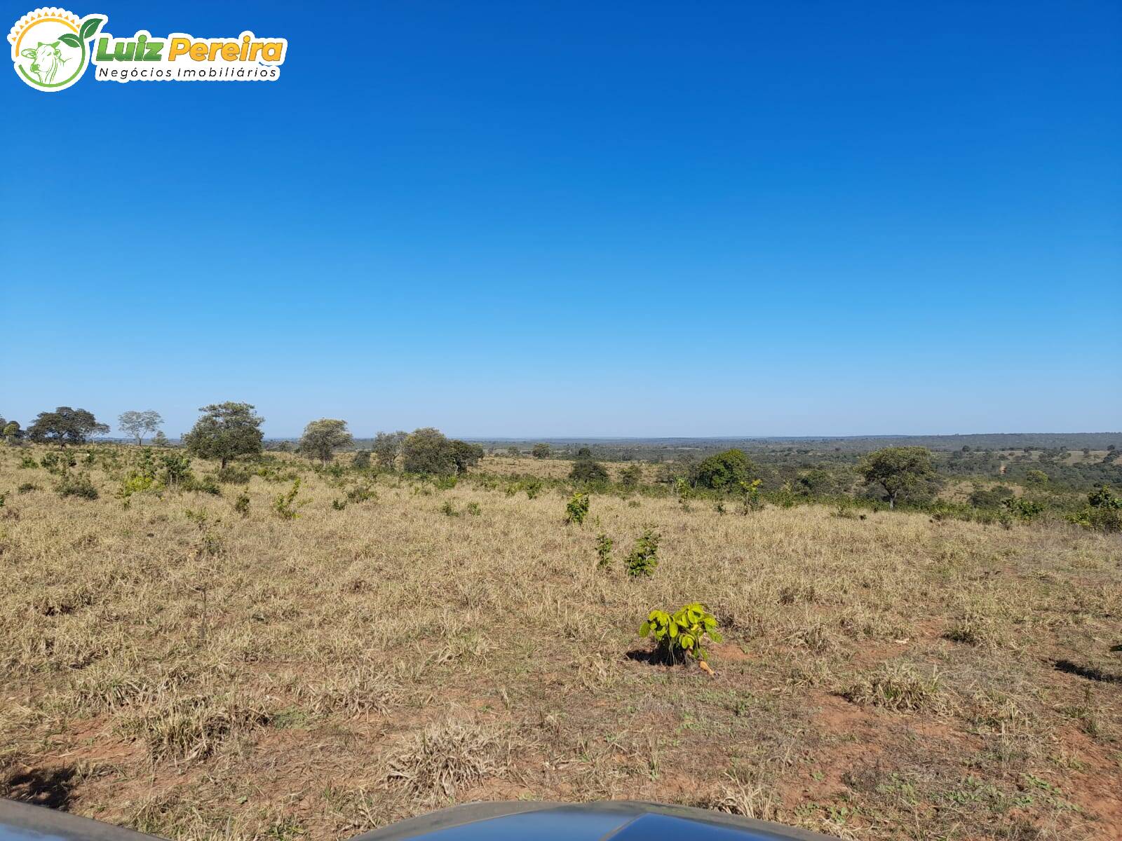 Fazenda à venda, 1680000m² - Foto 13